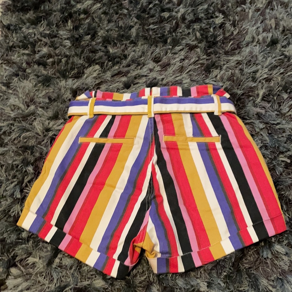 Express Shorts - Picture 3 of 4